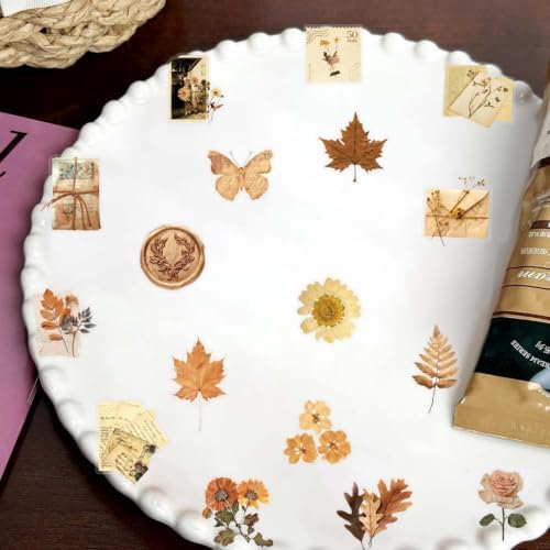 Transparent Flora Scrapbook Stickers Aesthetic Flowers Stickers(200)