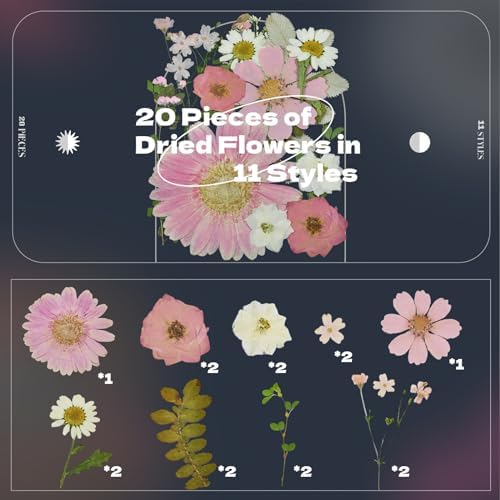 Pink Dried Pressed Flowers, Real Nature Flowers with Tweezers