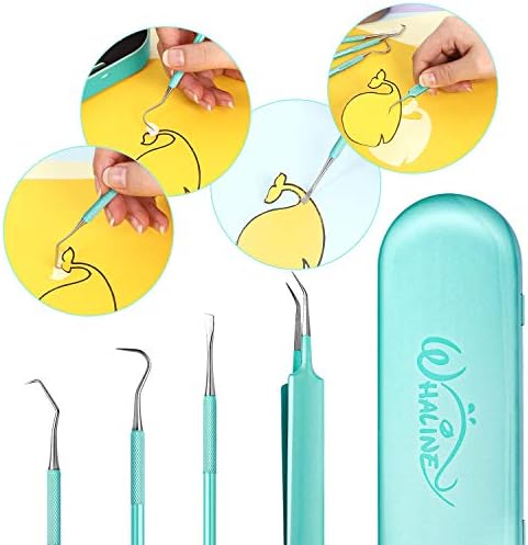 Whaline Vinyl Weeding Tools Set of 4, Precision Stainless Steel Weeder Kit with Case, Includes Scraper, Hook, Spatula, Tweezers for Silhouette Cameo, Lettering & Paper Craft (Mint Green)
