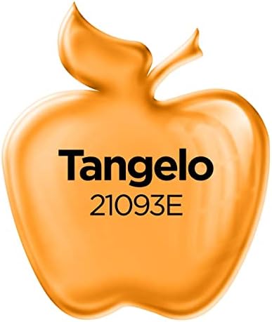 Apple Barrel Paint GLOSS ACRYLIC, 2 oz, Tangelo 2 Fl Oz