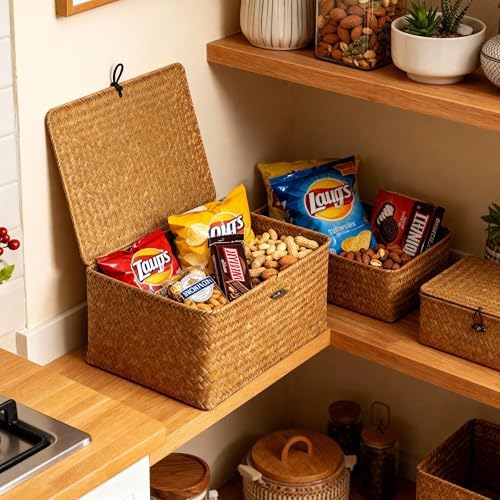 Nonam Large Wicker Basket with Lid,Seagrass Shelf Storage Basket,Natural