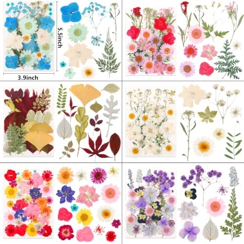 NESCCI 420 Pcs Dried Pressed Flowers for Resin,Real Nature Dried Flowers for Crafts Bulk Dry Flowers Leaves Kit Used for Resin Molds Scrapbooking DIY Art Crafts Candle Soap Making Nails Décor