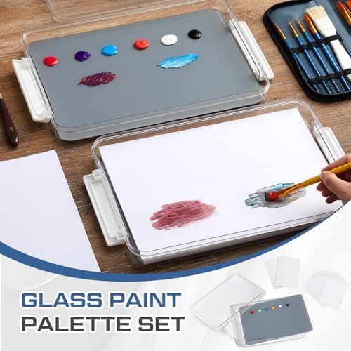 Nuanchu 2 Pcs 9 x 12 Inch Glass Palette for Oil Painting, Neutral Grey | Airtight Keep Wet Palette Container, 80 Sheets Disposable Paper, Keeps Paint Fresh, for DIY Color Mixing Beginners