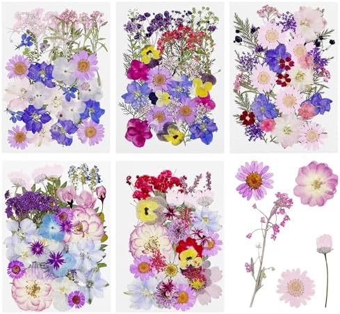 Cayway 170 PCS Real Nature Dried Pressed Flower Leaves, Pressed Flowers for Resin, Real Nature Pressing Floral Leaves for DIY Craft, Candle Scrapbooking Supplies, Purple