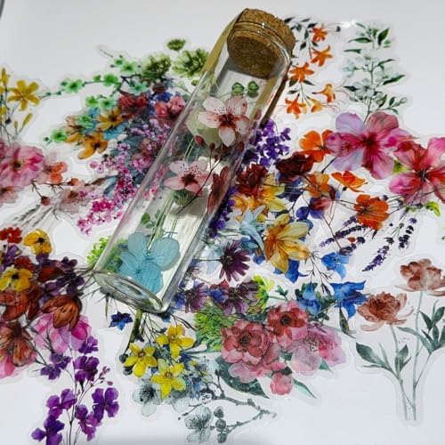 50PCS Transparent Natural Flower Stickers for Scrapbook Supplies | PET Pressed Flower Stickers for Scrapbooking, DIY Craft, Journal, Water Bottle, Laptop, Card Making