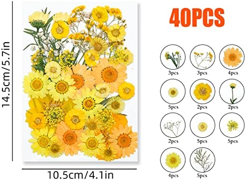 Cayway 40 Pcs Real Pressed Flowers Dry with Tweezers Set, Dried Flowers for Resin Scrapbooking DIY Art Crafts, Epoxy Resin Jewelry, Soap Making