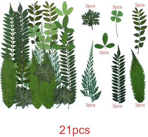 Cayway Natural Dried Pressed Flowers, Natural Dried Pressed Leaves, Natural Dry Flowers Leaves with Tweezers, Scissors for Pressed Leaf Art Craft DIY Embellishment Decorations (Green Pink Red)