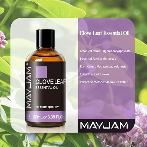 MAYJAM Clove Essential Oil for Diffuser Soap Candle Making, 3.38FL.OZ