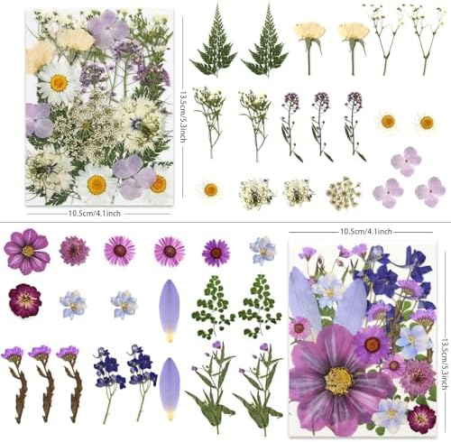 LUXEEASE 80P Vibrant Colors Large Pressed Flowers & Leaves | Cosmos daisy maple leaves, varied textures, pink purple white green, for resin scrapbook frame decor, tweezers included