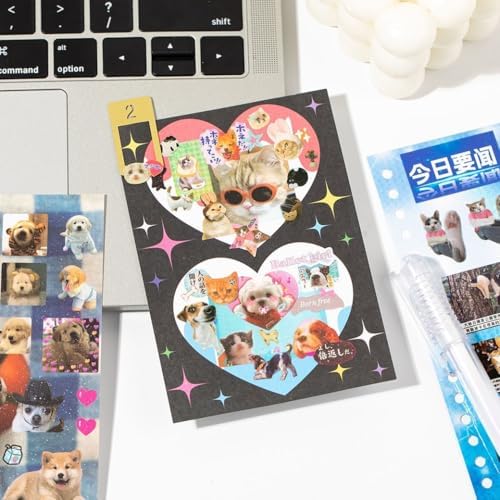 Cat Sticker Book Kawaii Cute Stickers Bulk Aesthetic Funny Meme 800+