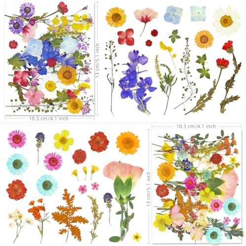 140+ PCS Real Dried Pressed Flowers Leaves Petals for Crafts Yellow- Beautiful Pressed Flowers Daisies for Resin Jewellery, Pressed Flowers Nail Pendant Crafts Making Craft DIY Accessories