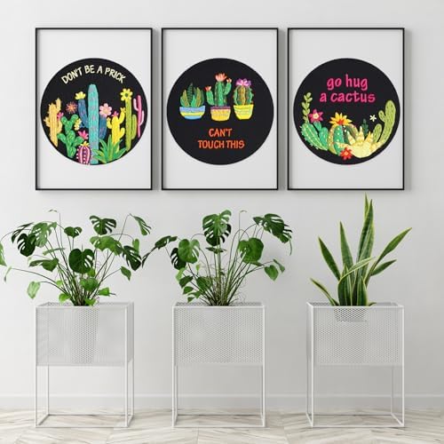 Louise Maelys 3 Pack Funny Cactus Embroidery Kit for Beginners DIY Craft