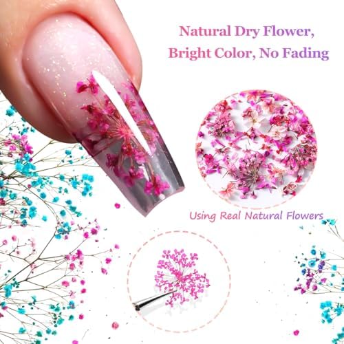 8 Boxs Dried Flowers for Nail Art,Colorful Mini Real Natural Flowers