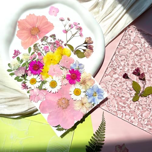 MIKIYA 33Pcs Pink Pressed Dried Flowers for Resin, Real Natural Bulk Assorted Dry Floral Leaves for DIY Art Crafts, Epoxy Molds, Jewelry, Soap, Candle Making, Nails Decors