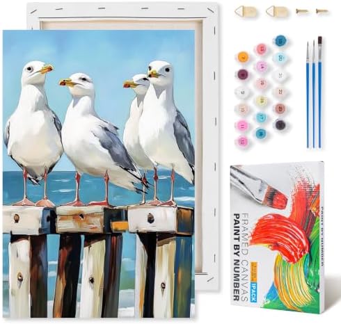 Kalonyth Seagull Framed Paint by Numbers Kit for Adults Beginner 8x12 inch