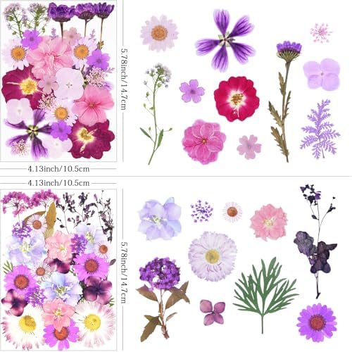 110Pcs Purple Dried Pressed Flowers for Crafts,Xinxinran Dry Flower Kit for Resin Molds,Epoxy Resin Accessories,Bookmark,Nails, Jewelry Molds,Candle Making Supplies,Soap,Frame