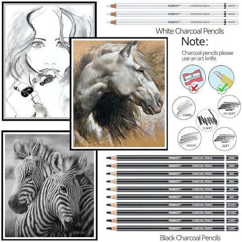 PANDAFLY Professional Charcoal Pencils Drawing Set, 24 Pcs