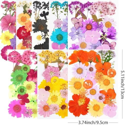 190Pcs Dried Pressed Flowers for Craft,Xinxinran Dry Flower Kit for Resin