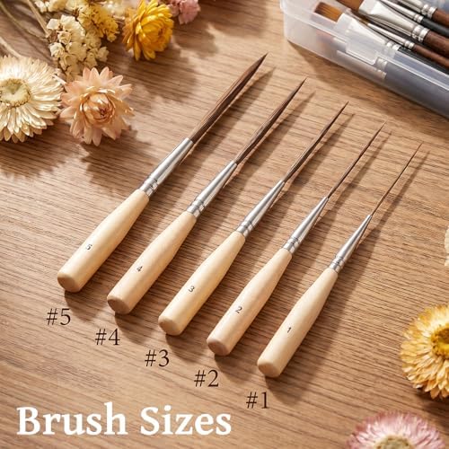 Ouligay 5PCS Extra Long Watercolor Brushes Liner Brushes for Painting Pinstriping Brush for Filling Corners, Marking, Outlining, Creating Edge Borders (Watercolor Acrylic Oil)
