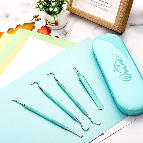 Whaline Vinyl Weeding Tools Set of 4, Precision Stainless Steel Weeder Kit with Case, Includes Scraper, Hook, Spatula, Tweezers for Silhouette Cameo, Lettering & Paper Craft (Mint Green)