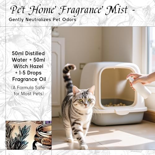 HIQILI White Sandalwood Fragrance Oil for Candle, Diffuser & Body