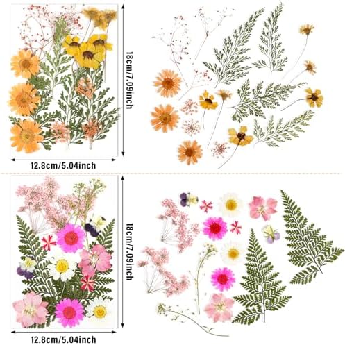 Nuanchu Natural Dried Pressed Flowers for Craft Resin