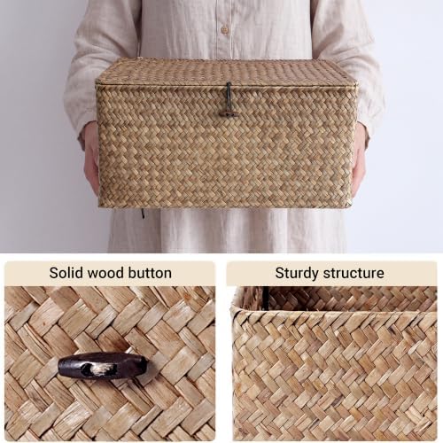 Nonam Large Wicker Basket with Lid,Seagrass Shelf Storage Basket,Coffee