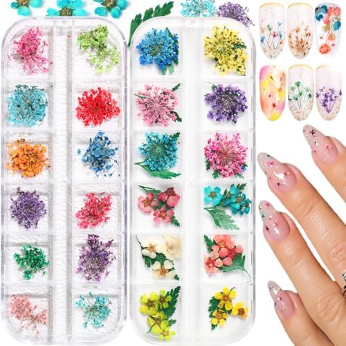 2 Boxes 3D Real Dried Flowers for Nail Art Colorful Mini Natural Gypsophila