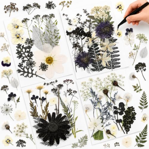 Nuanchu Black White Dried Pressed Flowers for Craft Resin, Halloween DIY
