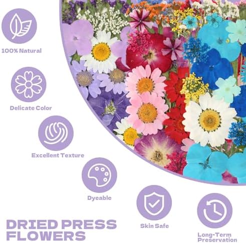 Dried Flowers for Resin 120pcs Natural Flowers and Leaves