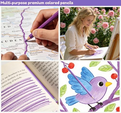 Adhere 25pcs Checking Pencils Erasable colored Pencils Pre-Sharpened #2 HB,for Checking Tests Grading,Map Coloring, editing Office Favors,including a Free sharpener. (Rose Purple)