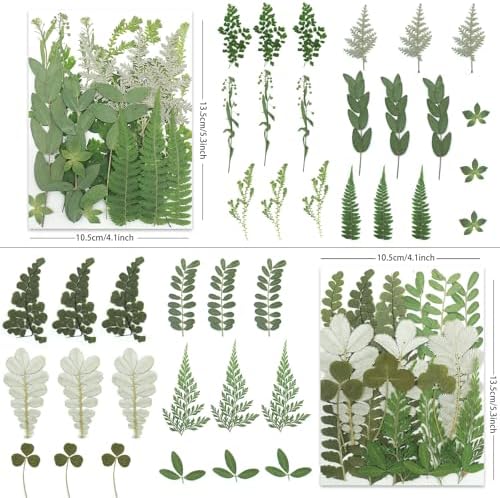 LUXEEASE 84P Dried Pressed Leaves, Earthy Green | Fern eucalyptus leaves, varied leaf shapes, wild forest texture, for resin scrapbook botanical decor, tweezers included