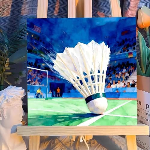 Reivworl Framed Badminton Paint by Numbers Kit for Adults Beginner 10×10 inch