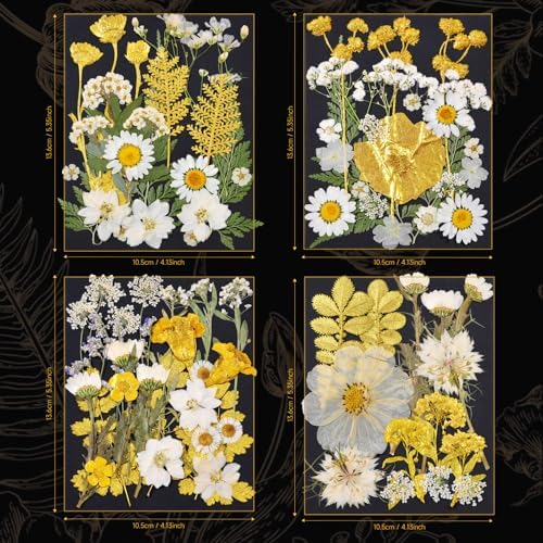 85 Pcs Dried Flowers for Crafts