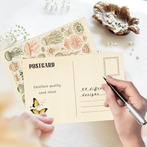 64 Pcs Vintage Postcard Set, Vintage Post Cards for Mailing, Retro Botanical Butterfly Ephemera, Scrapbooks, Collage, DIY Card, Wall Decor (4×6)