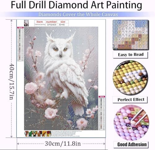 AIBOERL Diamond Art Kits for Adults，DIY Owl Diamond Painting Wall Decor | Round Drill Flower Diamond Painting for Beginners DIY Rhinestone 5D Diamond dots(Gemstone Craft)Wall Art Gift 12x16IN
