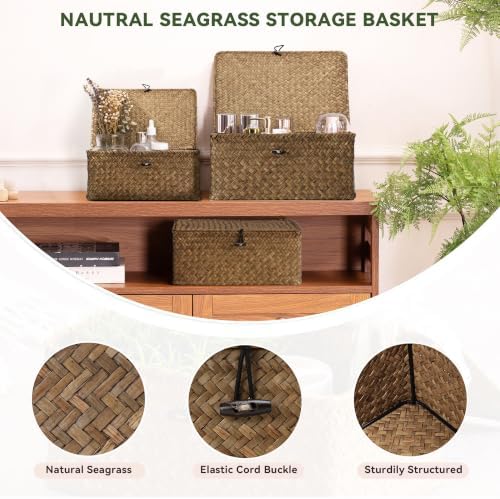 Nonam Wicker Storage Basket with Lid,Seagrass Shelf Basket Set of 3,Coffee