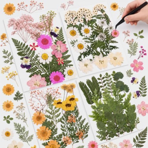 Nuanchu Natural Dried Pressed Flowers for Craft Resin