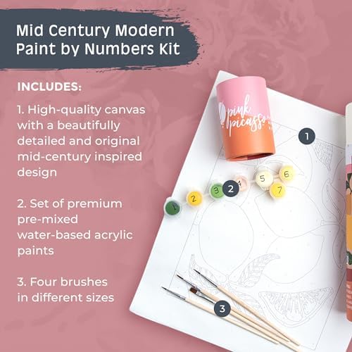 Pink Picasso Paint by Number Kit, All Ages, 8x10, Be Zesty | Mid Century Modern Collection, Acrylic Paints and Brushes included, Pre-printed high quality canvas, DIY art kit, Gift-ready