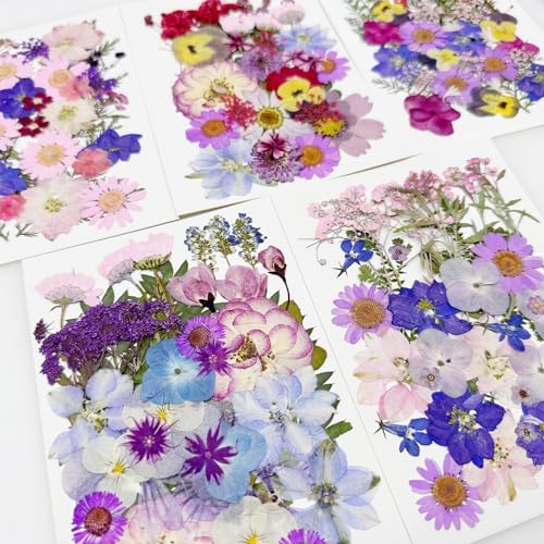 Cayway 170 PCS Real Nature Dried Pressed Flower Leaves, Pressed Flowers for Resin, Real Nature Pressing Floral Leaves for DIY Craft, Candle Scrapbooking Supplies, Purple