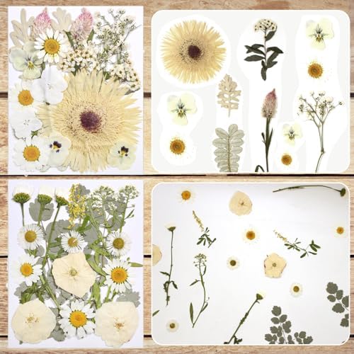 Dried Flowers for Resin