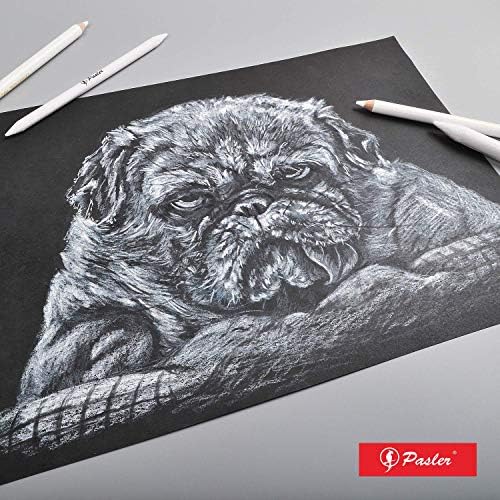 Pasler® white charcoal pencils set - 3 pcs Sketch Highlight white pencils for drawing, sketching, shading, blending