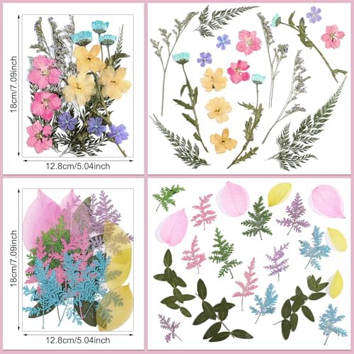 Nuanchu Pastel Real Dried Pressed Flowers for Craft Resin Mold DIY