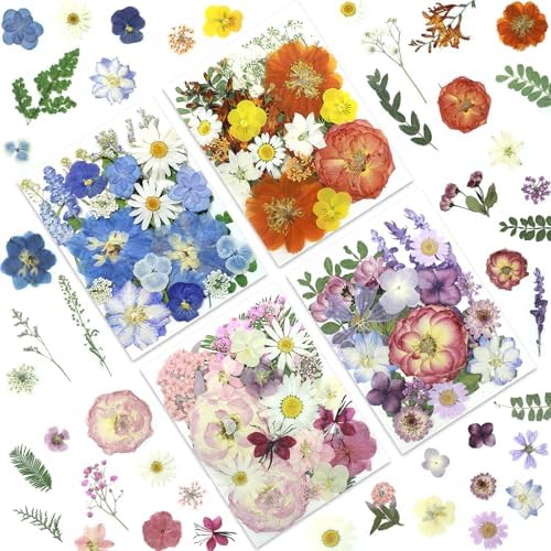 LUXEEASE 4-Color 100P Vibrant Dried Pressed Flowers
