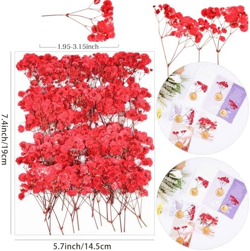 50Pcs Red Babys Breath Dried Pressed Flowers for Crafts,Xinxinran Dry Flowers Kit for Wedding Invitation Accessories,Bookmark,Jewelry Molds,Candle Making Supplies,Soap,Frame,Cakes