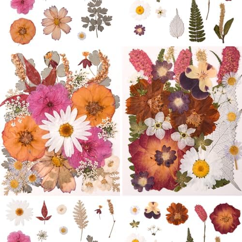 100 PCS Cream Color Pressed Dried Flowers & Leaves | Real Natural Dried Flowers, With Tweezers, For Resin, Candle, Jewelry, Scrapbooking & DIY Crafts