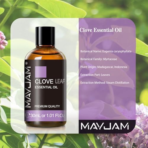 MAYJAM Clove Essential Oil for Diffuser Soap Candle Making, 1.01fl.oz