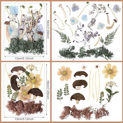 Nuanchu Dried Flowers Pressed Mushrooms for Resin Molds Crafts DIY Supplies