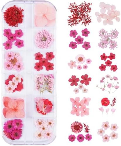60Pcs Red Small Dried Pressed Flowers for Crafts,Xinxinran Mini Dry Flower Kit for Nail Art,Epoxy Resin Accessories,Bookmark,Nails, Jewelry Making,Candle,Soap,Resin Molds(1 Boxs)