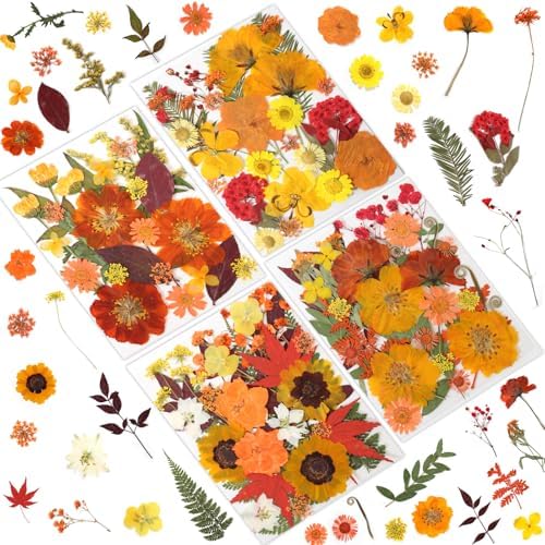 LUXEEASE 120P Yellow Orange Red Dried Pressed Flowers | Warm cozy gradient, maple leaves, varied blooms, for Thanksgiving resin jewelry scrapbook frame candle, tweezers included